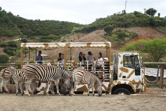 Visita a Safari Serengueti en Selwo Aventura (Málaga)