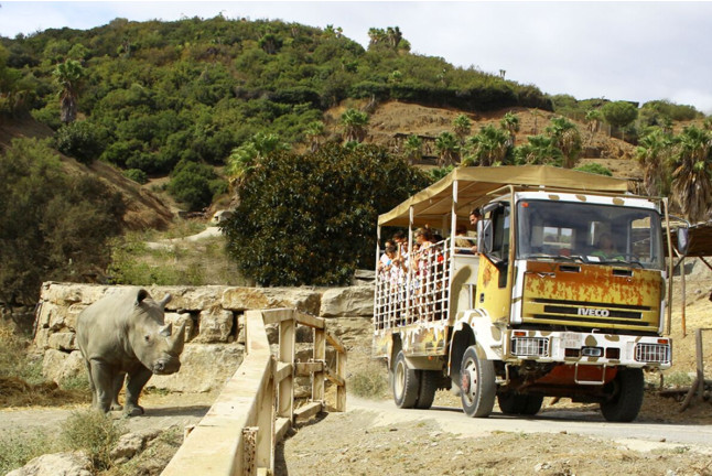 Visita a Safari Serengueti en Selwo Aventura (Málaga)
