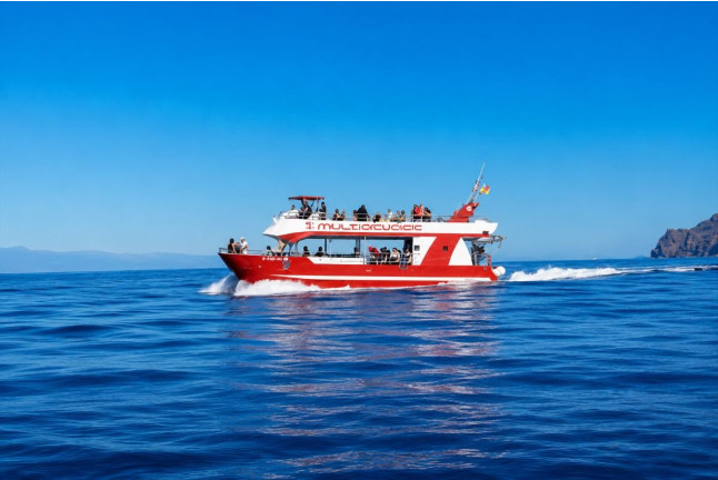 Dolphin & Swim: Salida en Barco con Avistamiento de Cetáceos y Baño (Puerto Rico, Las Palmas)
