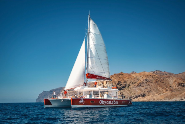 Obycat Puerto Rico: Salida en Catamarán con Comida, Bebidas y Snorkel (Puerto Rico, Gran Canaria)