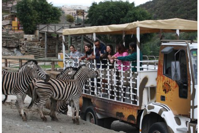Visita a Safari Serengueti y entrada Selwo Aventura, Málaga