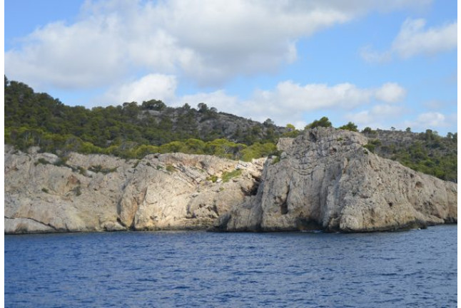 Day at Sea: Salida en Catamarán y Comida (Mallorca)