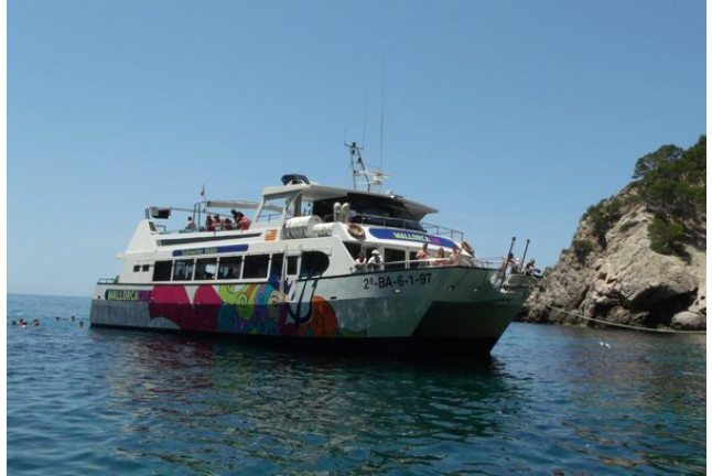 Day at Sea: Salida en Catamarán y Comida (Mallorca)