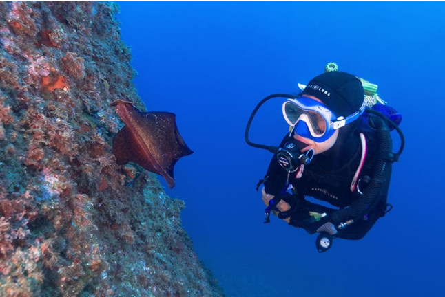 Curso de Buceo Discover Scuba Diving (Calella de Palafrugell, Girona)