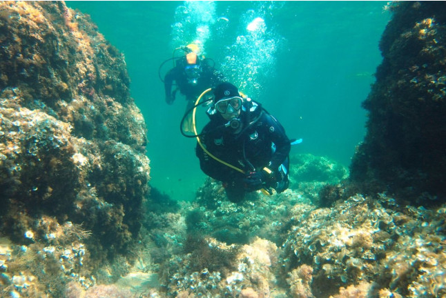 Curso de Buceo Discover Scuba Diving (Calella de Palafrugell, Girona)
