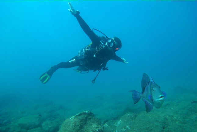 Discover Scuba Diving: Bautismo de Buceo (Tenerife)