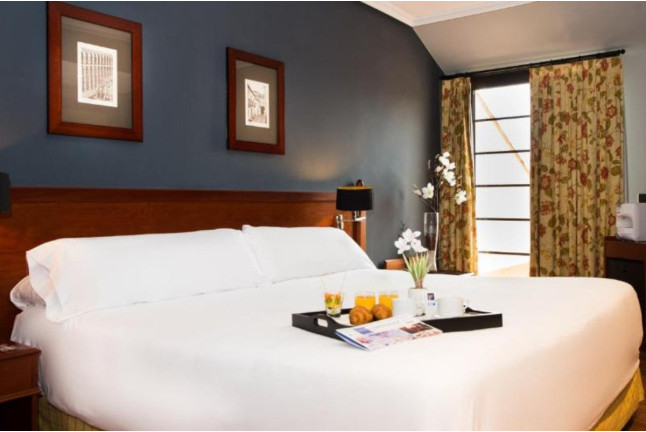 Escapada con Masaje o Cena en Habitación Doble o Suite con Jacuzzi de Hotel Segovia Sierra de Guadarrama 4* (Segovia)