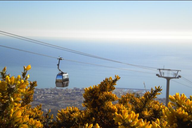 Entrada a Selwo Aventura y Teleférico Benalmádena (Málaga)