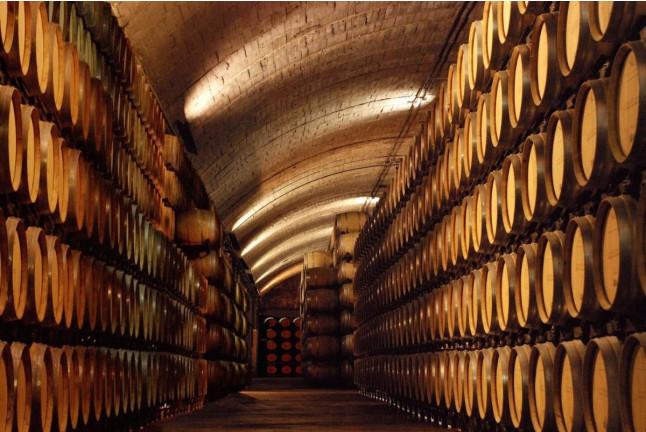 Visita a Bodegas Señorío de los Llanos y Cata de Vino (Valdepeñas, Ciudad Real)