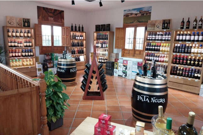 Visita a Bodegas Señorío de los Llanos y Cata de Vino (Valdepeñas, Ciudad Real)