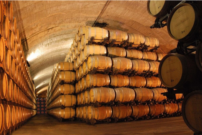 Visita a Bodegas Señorío de los Llanos y Cata de Vino (Valdepeñas, Ciudad Real)