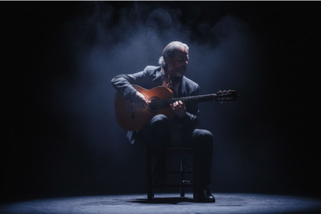 Espectáculo de Flamenco Tradicional (Sevilla)