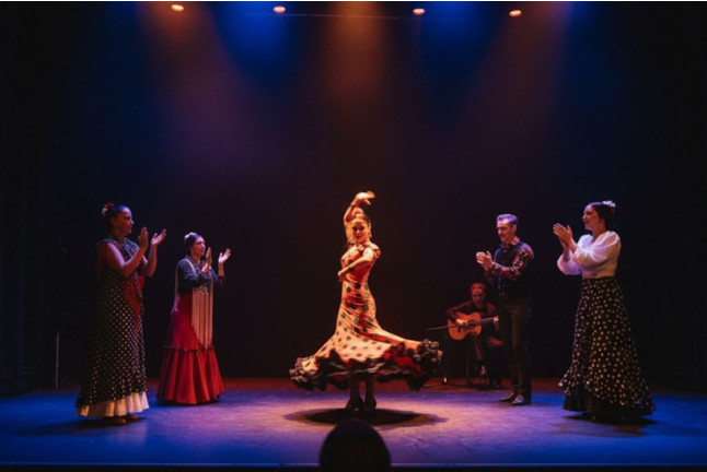 Espectáculo de Flamenco Tradicional (Sevilla)