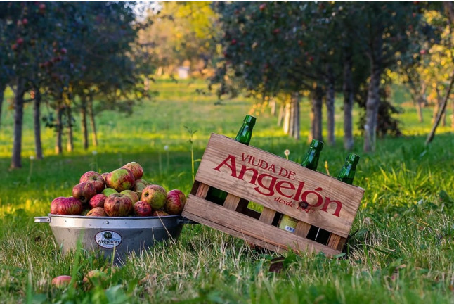 Visita al Lagar de Sidra Viuda de Angelón y Degustación de Sidra (Asturias)