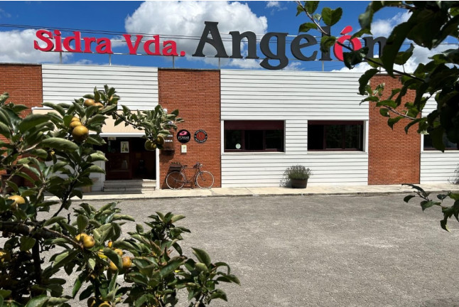 Visita al Lagar de Sidra Viuda de Angelón y Degustación de Sidra (Asturias)