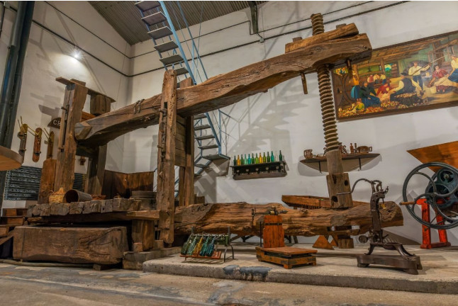 Visita al Lagar de Sidra Viuda de Angelón y Degustación de Sidra (Asturias)