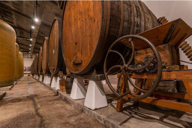 Visita al Lagar de Sidra Viuda de Angelón y Degustación de Sidra (Asturias)
