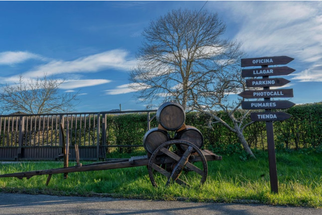 Visita al Lagar de Sidra Viuda de Angelón y Degustación de Sidra (Asturias)