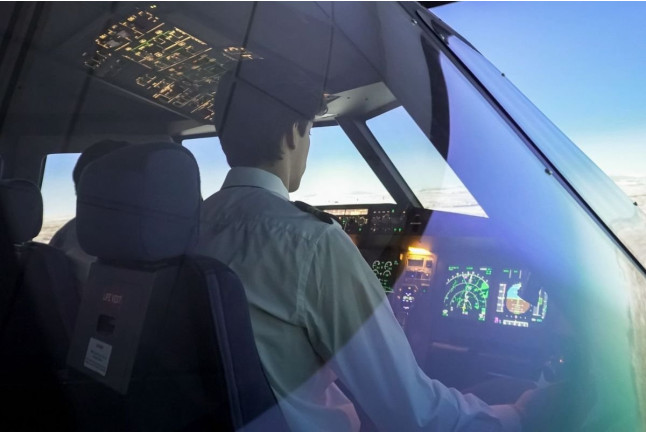 Flight Experience: Simulador de Vuelo A320 (Las Rozas de Madrid, Madrid)