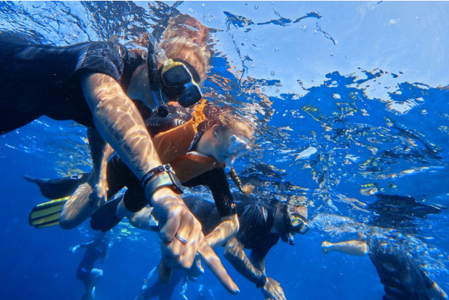 Snorkel Boat Tour en Costa Adeje (Santa Cruz de Tenerife)