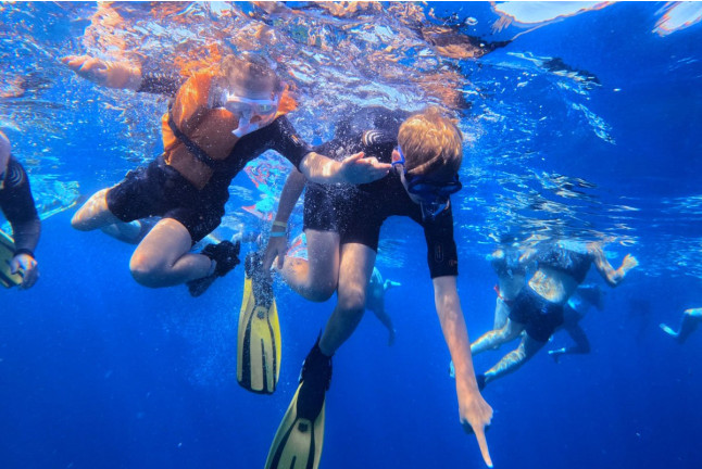 Snorkel Boat Tour en Costa Adeje (Santa Cruz de Tenerife)