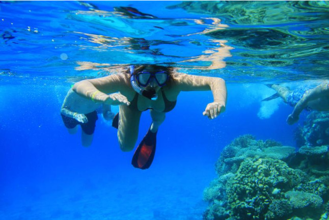 Snorkel en la Costa Daurada (L'Ametlla de Mar, Tarragona)