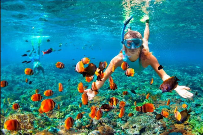 Tour de Snorkel para dos (Lanzarote)