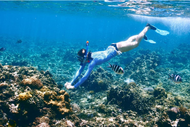 Snorkel con Reportaje de Fotos y Vídeo en Puerto del Carmen (Las Palmas, Lanzarote)