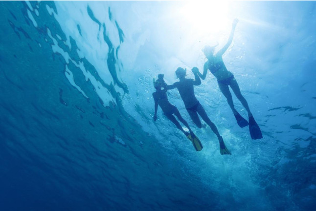 Snorkel con Reportaje de Fotos y Vídeo en Puerto del Carmen (Las Palmas, Lanzarote)