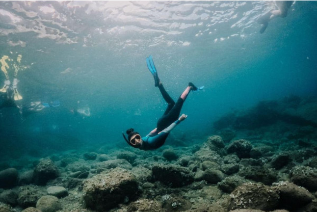 Snorkeling con Biología Marina, Fotos y Vídeos (Lloret de Mar, Girona)