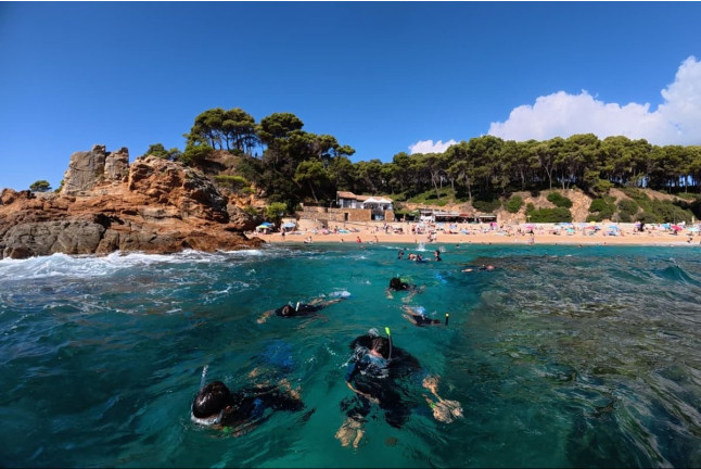 Snorkeling con Biología Marina, Fotos y Vídeos (Lloret de Mar, Girona)
