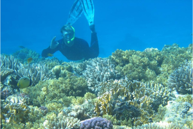 Snorkel para dos (Fuengirola, Málaga)