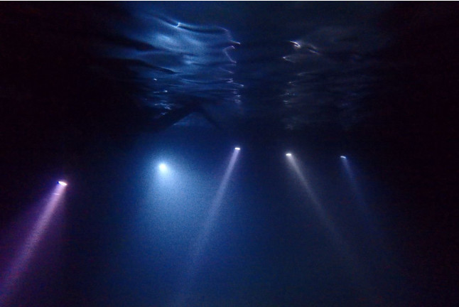 Snorkel Nocturno con Biología Marina, Fotos y Vídeos (Lloret de Mar, Girona)