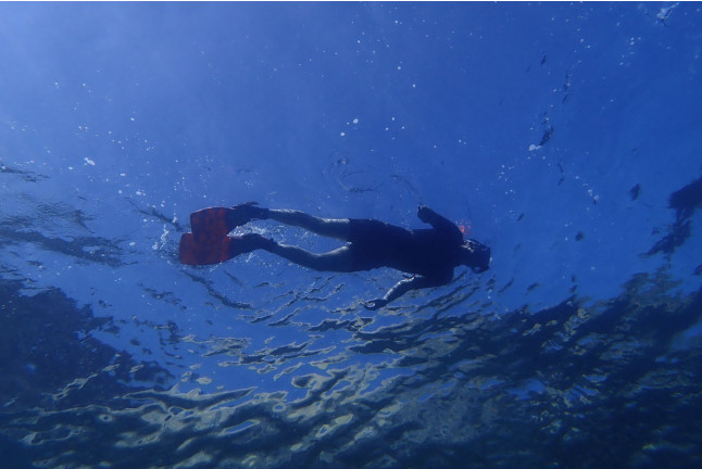 Snorkel para dos por la Costa Brava en el Parque Natural del Cabo de Creus (Roses, Girona) (Roses, Girona)