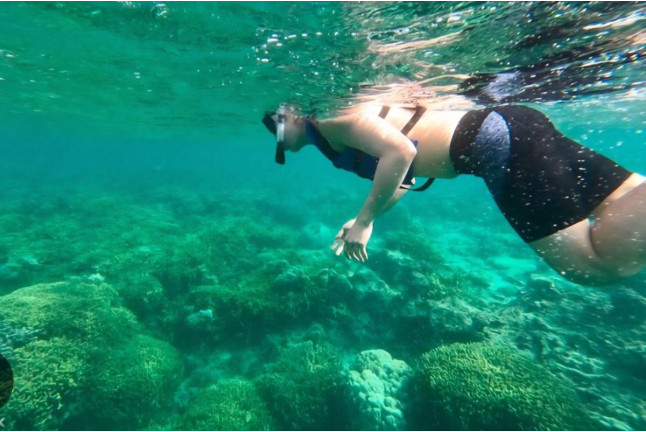 Snorkel Guiado: Explora la Costa de la Luz (Tarifa, Cádiz)