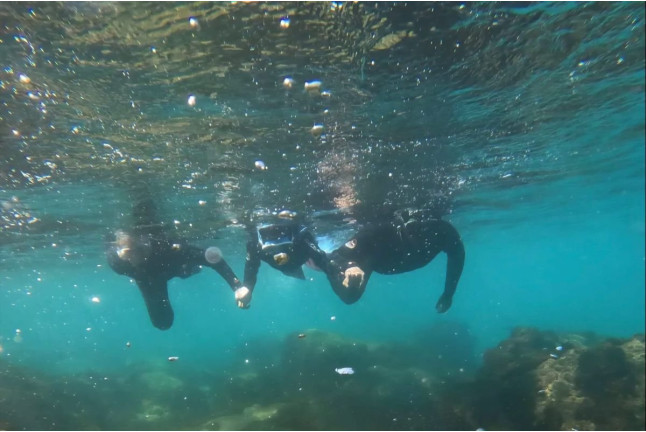 Snorkel Guiado: Explora la Costa de la Luz (Tarifa, Cádiz)