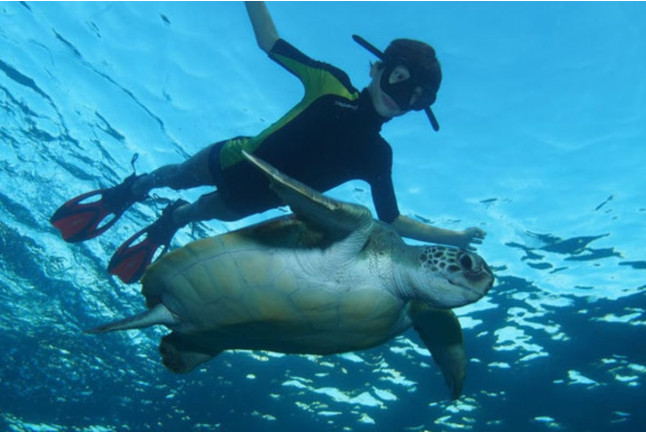 Ruta de Snorkeling en Bahía volcánica en Las Galletas (Tenerife)