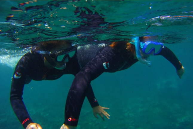 Ruta de Snorkeling en Bahía volcánica en Las Galletas (Tenerife)