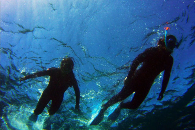 Ruta de Snorkeling en Bahía volcánica en Las Galletas (Tenerife)
