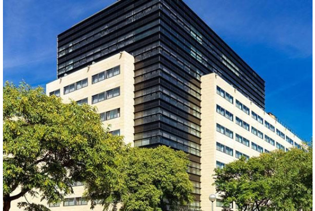 Spa y Masaje al Bálsamo de Oro en Despacio Spa Centre del Hotel H10 Marina (Barcelona)