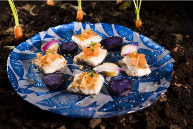 Spa y Comida en Dolce by Wyndham Barcelona Resort 4* Sup y Visita a Celler Clot de les Soleres con Cata para dos (Barcelona)