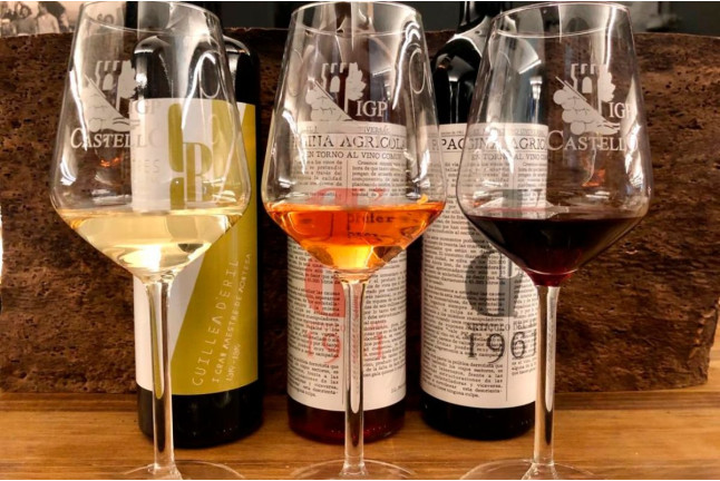 Circuito Spa en Centro Spa Minos y Visita a Bodegas Besalduch Valls & Bellmunt con Degustación para dos (Castellón)