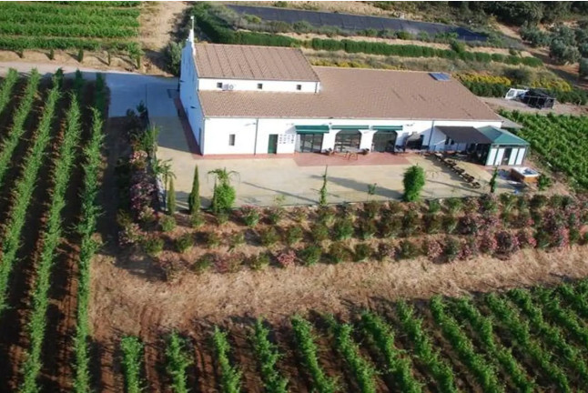 Circuito Spa en Hotel Catalonia Ronda 4* y Visita a Bodegas Morosanto con Cata Guiada para dos (Málaga)