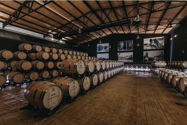 Visita a Bodega Madrid Romero con Cata de 5 Vinos, Aperitivo Gourmet y Circuito Spa para dos en Hotel Lodomar Spa & Talasoterapia 4* (Murcia)