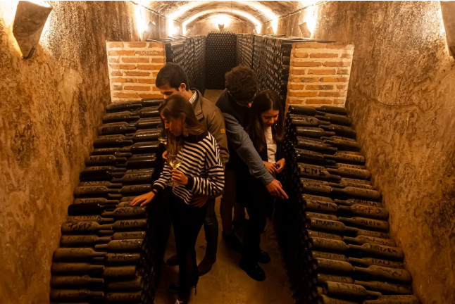 Circuito Spa y Visita a Bodega Subterránea con Cata de Vinos y Quesos o Dulces Artesanos para dos (Valladolid)