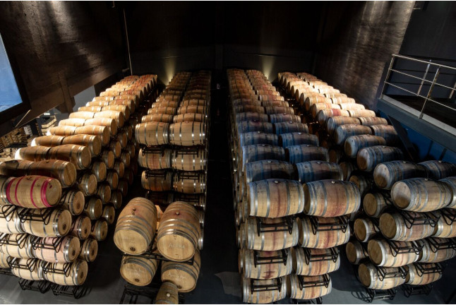 Circuito Spa y Experiencia "Piensa menos, siente más": Visita y Cata en Bodegas Javier San Pedro Ortega para dos (Álava)