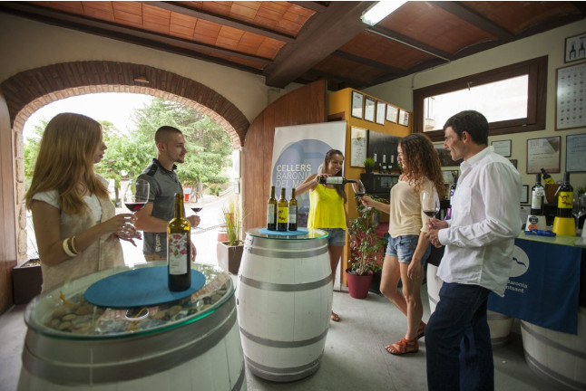 Spa en SPALAS Hotel Gran Palas 5* y Visita a Viñedos en 4x4, Bodega, Cata y Comida para dos en Cellers Baronia del Montsant (Tarragona)