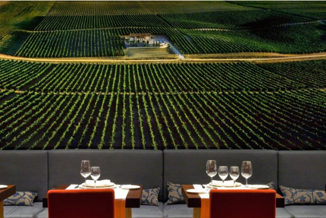 Circuito Spa y Cena para dos en Hotel Vincci Frontaura 4* (Valladolid)