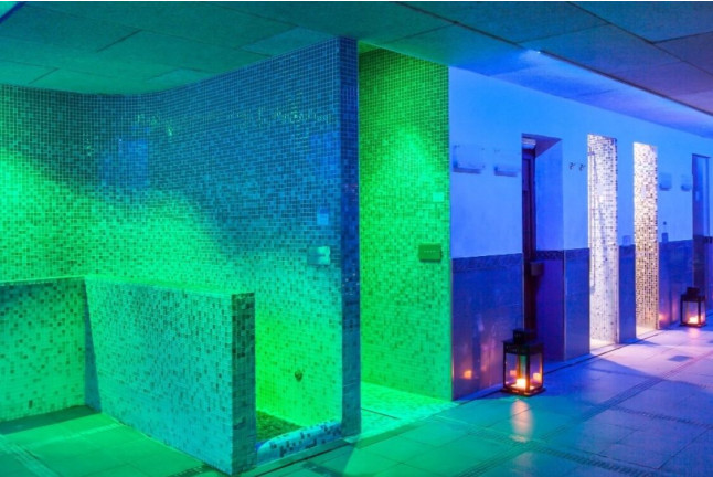 Circuito Spa en Hotel Occidental Aranjuez 4* (Madrid)