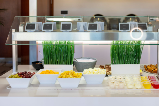 Circuito Spa, Masaje Relajante y Desayuno en Alexandre Hotel Frontair Congress 4* (Sant Boi, Barcelona)
